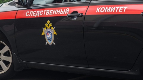 "Люблю Алису": в Краснодаре мать, зарезавшая свою дочь, написала записку
