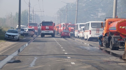 В Тольятти потушили большой лесной пожар