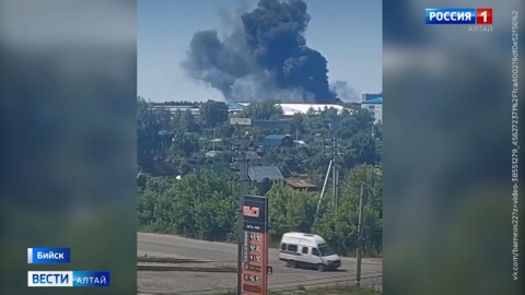 Жители Бийска жалуются на невыносимый запах протухшего мяса на улицах