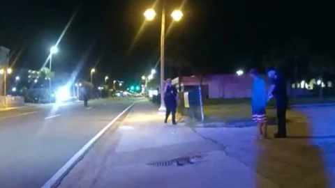 Во Флориде арестовали мужчину, укравшего и избившего аллигатора
