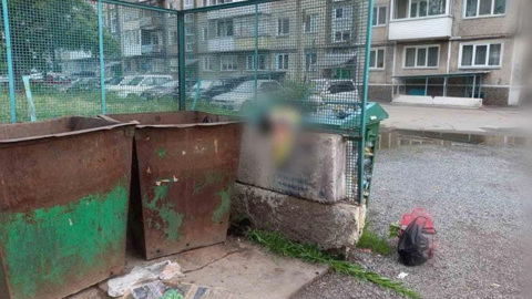 Тело новорожденной девочки найдено в мусорном баке в Ачинске