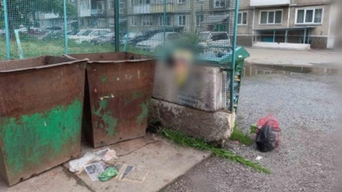 Тело новорожденной малышки нашли сибиряки в уличном баке с мусором