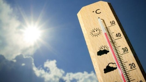 На Кубани установится жара до +40 градусов