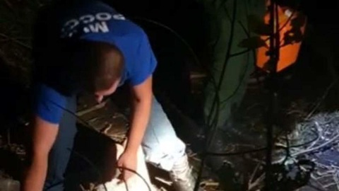 Тульская пенсионерка шесть дней скиталась по лесу без еды и воды