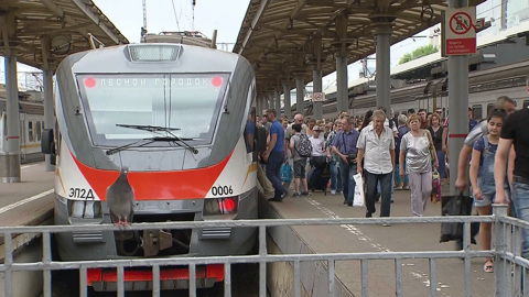 Поезд насмерть сбил двух нарушителей в Подмосковье