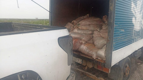 Житель Камчатки наловил рыбы на уголовное дело