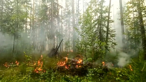 Огонь в Самарской области подошел вплотную к селу