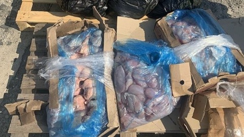Работники пятигорской птицефабрики массово воровали у себя же мясо