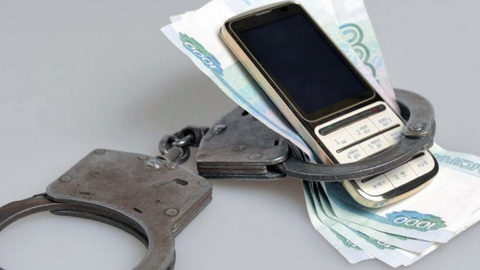 В Новосибирске брат обокрал сестру