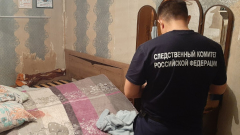 В Тыве ребенка, оставленного под присмотром няни, зарезал ее приятель