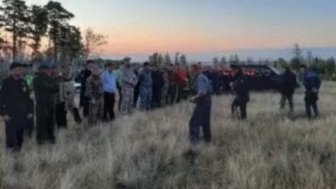 Потерявшегося в челябинском лесу маленького мальчика нашли живым
