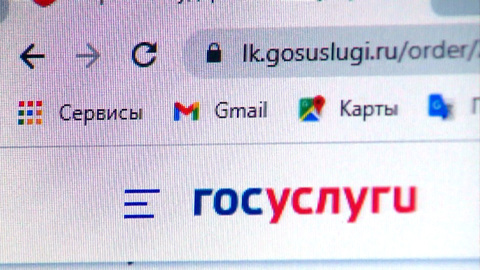 На Госуслугах появился раздел по поддержке IT-отрасли