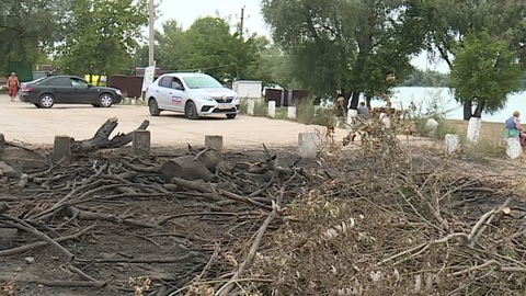 В Рязанской области машины едва не сгорели из-за травы