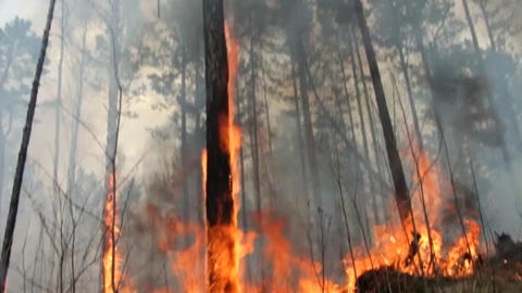 Пожары в Якутии: клубы огня и дыма видно за десятки километров. Новости на "России 24"