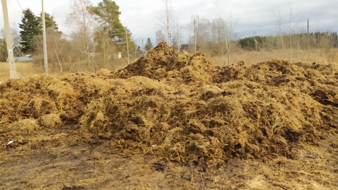 В Тверской области фермера оштрафовали за кучу навоза