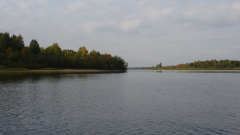 В Вологодской области пенсионер утонул в реке