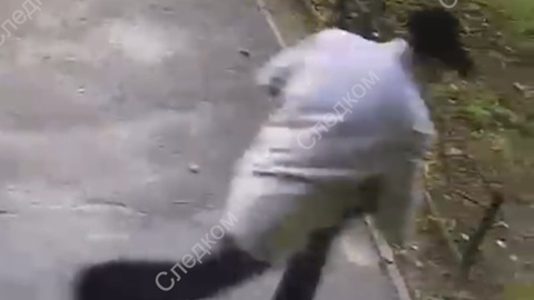 В Петербурге задержали грабителя, укравшего полмиллиона у блокадника