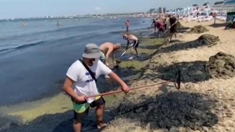 Роспотребнадзор дал оценку воде, пострадавшей от разлива нефти