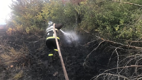 В Волгоградской области локализовали крупный природный пожар