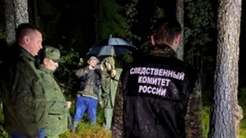 Обгоревшие тела женщины и ребенка нашли в лесу под Выборгом