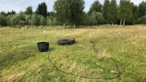 Мужчина погиб после нападения быка в Тверской области