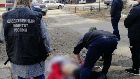 Жителя Костромской области, устроившего публичное убийство, отправят на лечение