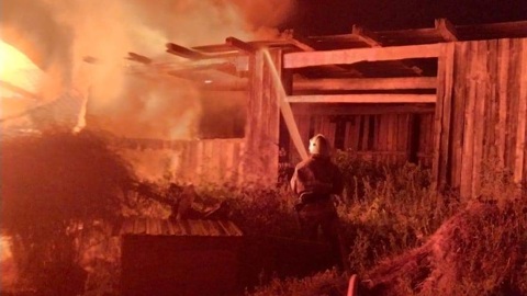 В Татарстане в ночном пожаре погибли семь коров