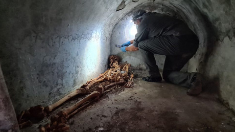 В Помпеях найдена мумия жреца с сохранившимися волосами и ухом