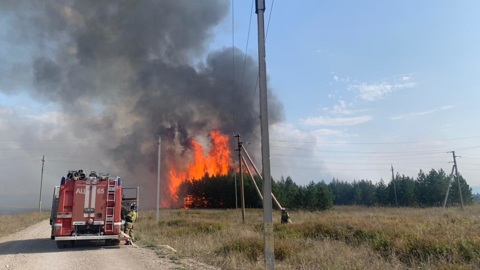В Татарстане вспыхнул лесной пожар