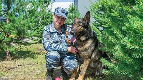 Служебный пес из Санкт-Петербурга получил итальянскую премию за спасение ребенка