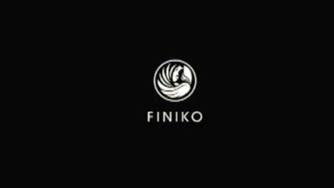 Работников казанского агентства недвижимости обвиняют в сотрудничестве с Finiko