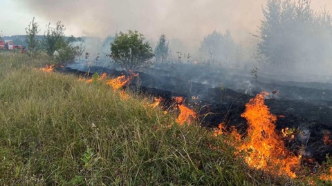 Полтора десятка зданий вспыхнули из-за пала травы в Самарской области