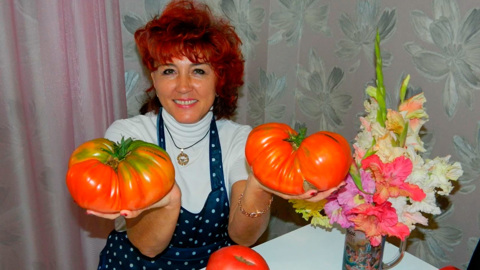 Lada Granta за помидор