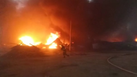 Пожарные ликвидировали масштабное возгорание в Подмосковье