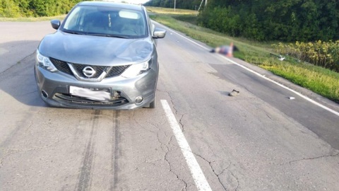В Тамбовской области насмерть сбили пенсионера на велосипеде