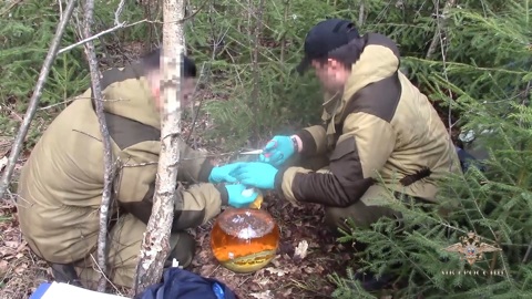 Мигранты спрятали нарколабораторию в непроходимом лесу во Владимирской области