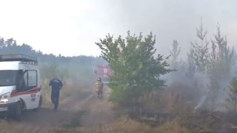 В Тольятти из-за лесных пожаров введен режим ЧС