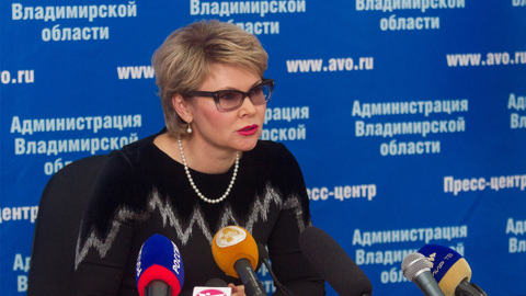 Экс-замгубернатора Владимирской области Елена Мазанько получила 8,5 лет колонии