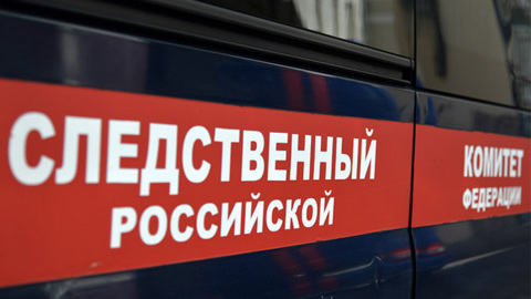 Следователи возбудили дело по факту истязания детей отчимом в Новосибирске