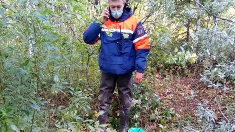 Тело пропавшей 18-летней девушки найдено в тундре Ямала