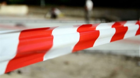 В челябинском лесу найдены человеческие останки