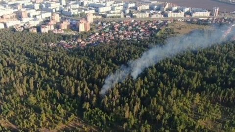 В Тольятти назначена награда в 500 тысяч за поимку поджигателей леса