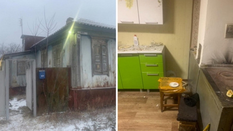 Воронежец, ударивший друга топором по шее, проведет в колонии 6 лет