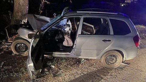 ДТП с деревом на Ставрополье: двое погибли, еще двое пострадали