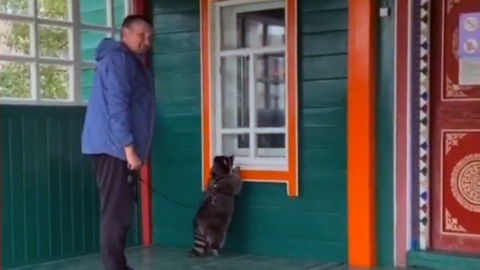 Витя в буддийском монастыре. Енот из Челябинска продолжает путешествие по России