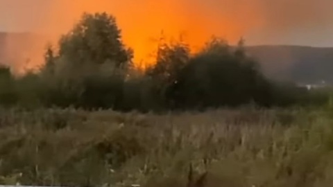 В Липецкой области на сельском кладбище пылал огонь