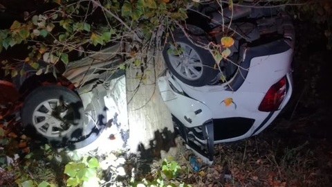 В Тольятти машина врезалась в дерево: водитель и 18-летняя пассажирка погибли