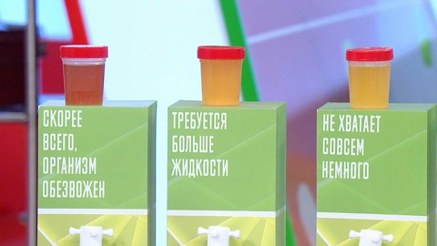 Сколько необходимо пить воды для здорового организма