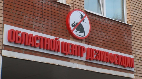 "Так отравиться средством от насекомых нельзя": гендиректор не винит сотрудника