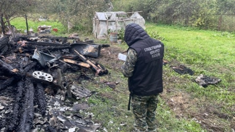 СК возбудил дело после гибели двух человек в пожаре в Тверской области